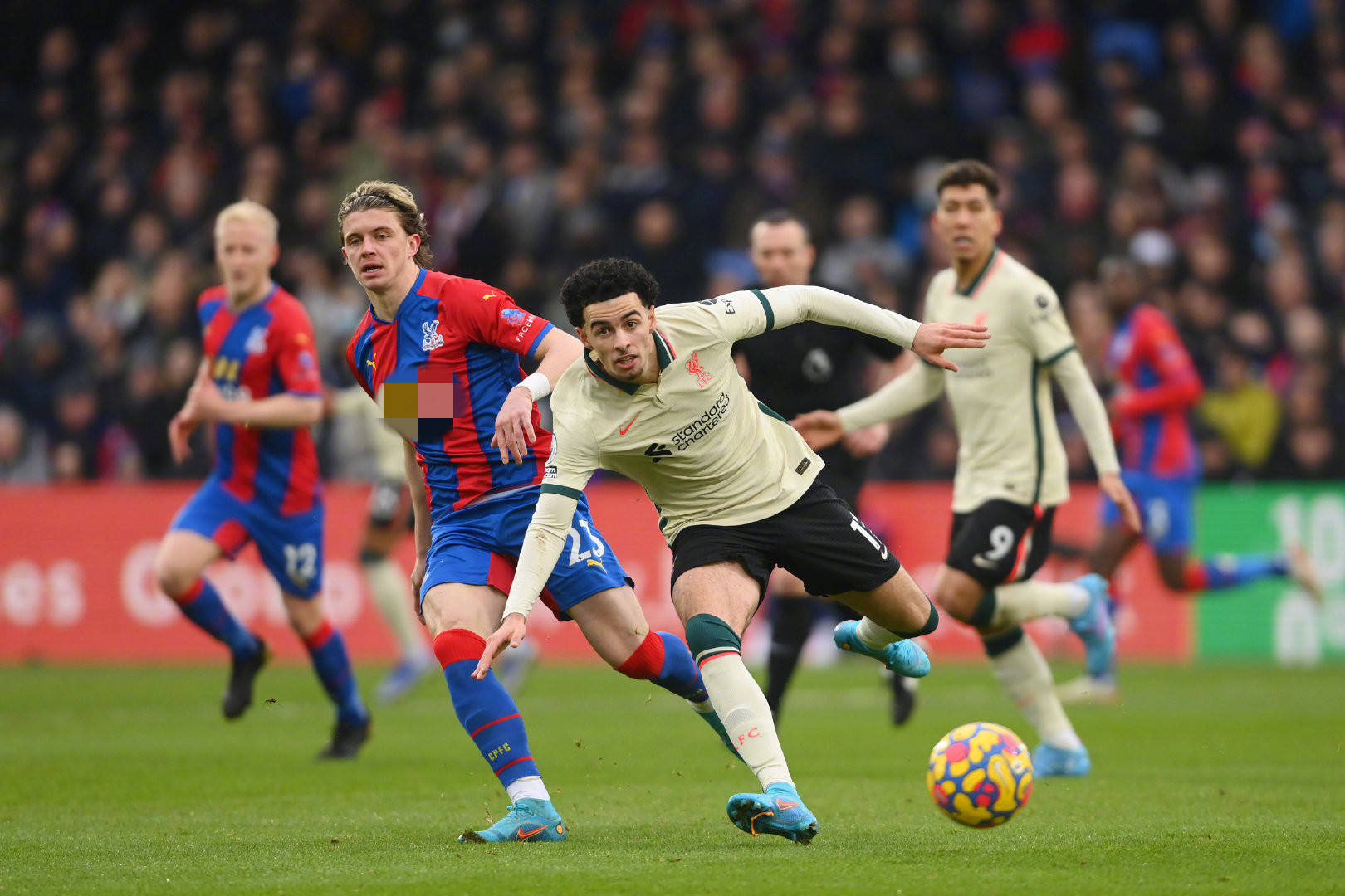 甲这样的顶 甲这样的顶