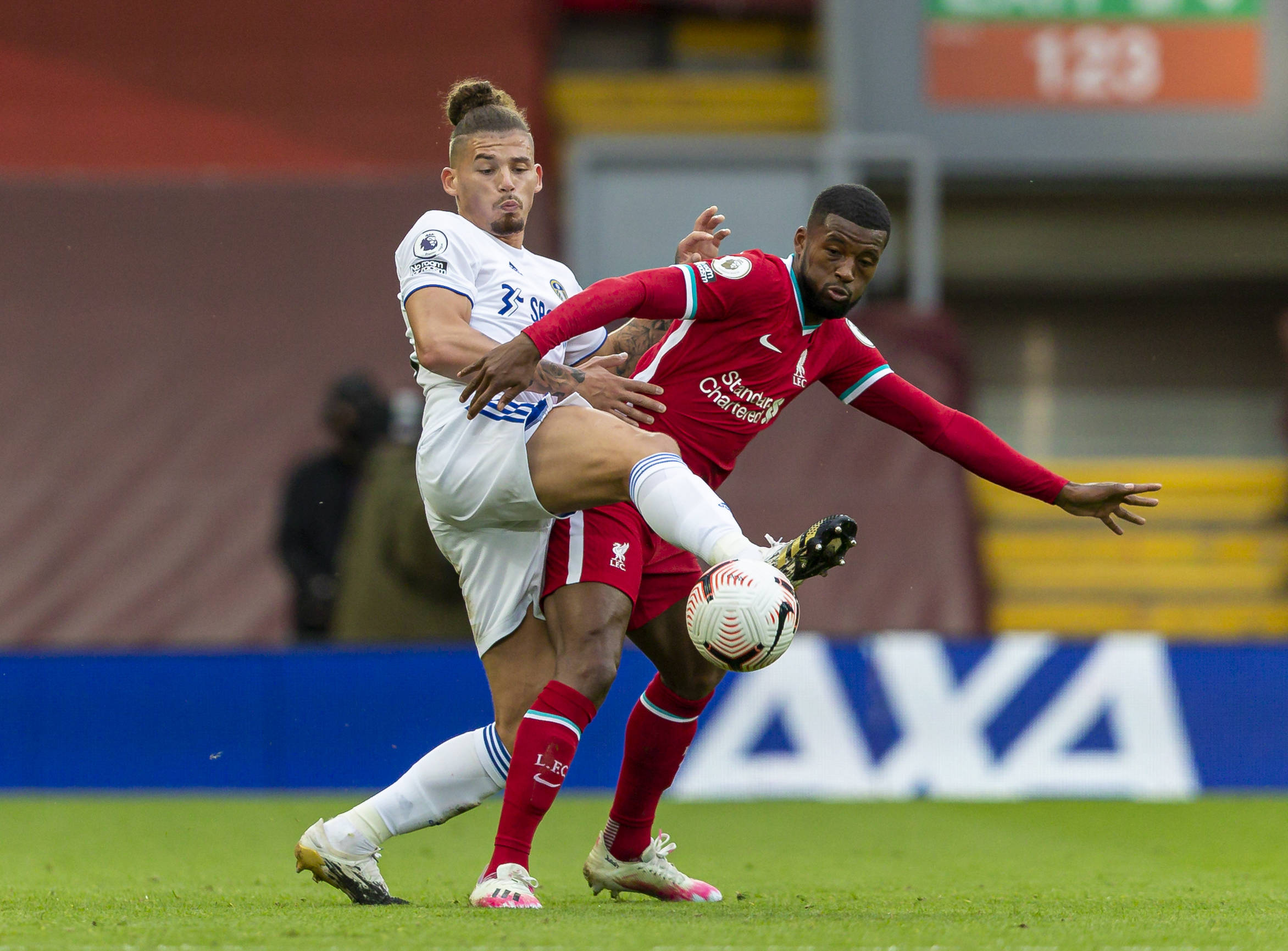 正是因为失 正是因为失